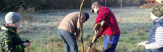 Streuobstwiese aus dem Dornr&ouml;schenschlaf erwacht (Foto: Katrin Sieber)