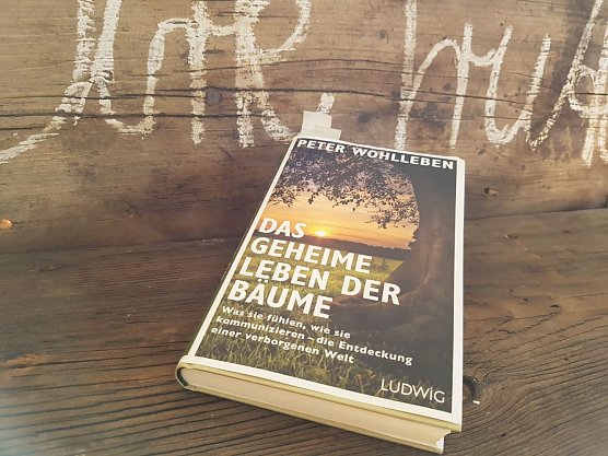 MUSIKALISCHE LESUNG IM HOC (Foto: Susanne Stadermann & Katrin Sieber)