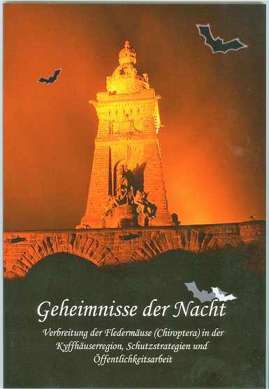 Was gibt es Neues von den Flederm&auml;usen? (Foto: Regionalmuseum Bad Frankenhausen)