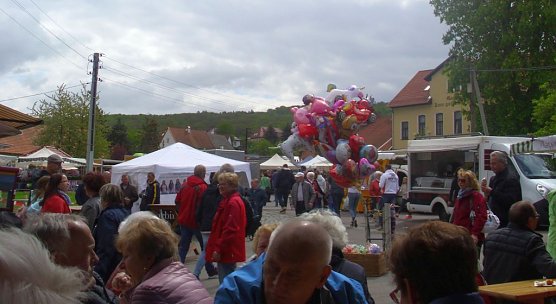 Apfelbl&uuml;tenfest in Gierst&auml;dt sehr gut besucht (Foto: Thomas Leipold)