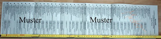 Spannender Wahlakt (Foto: Karl-Heinz Herrmann)