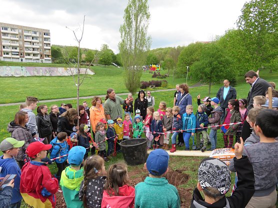 Baumfest am Freitag (Foto: Andreas Gothe)