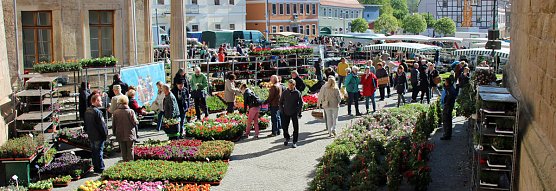 Ansturm auf Sondersh&auml;user Blumen-, Pflanzen- und Staudenmarkt (Foto: Karl-Heinz Herrmann)