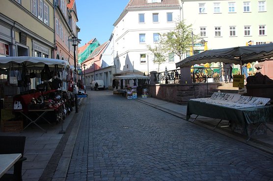 Ansturm auf Sondersh&auml;user Blumen-, Pflanzen- und Staudenmarkt (Foto: Karl-Heinz Herrmann)