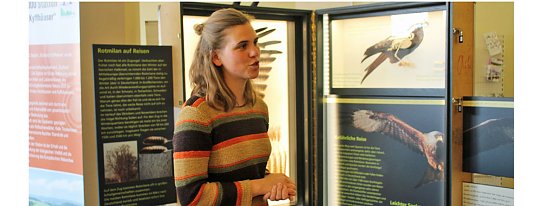 Rotmilan Wanderausstellung er&ouml;ffnet (Foto: Karl-Heinz Herrmann)