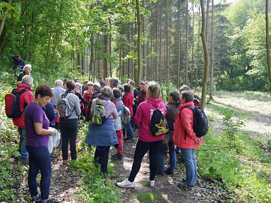 H&auml;ngeseilbr&uuml;cke im B&auml;rental (Foto: Robin Kendon)