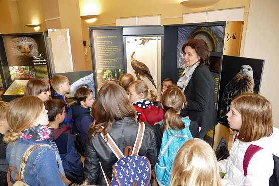 Grundsch&uuml;ler besuchten Wanderausstellung zum Rotmilan (Foto: Landratsamt Kyffh&auml;userkreis)