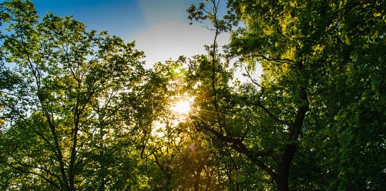 Es wird sonniger (Foto: Gernot Thelemann)