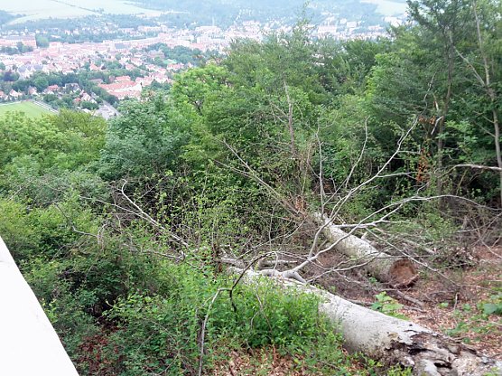 Wie sieht es denn hier aus? (Foto: Karl-Heinz Herrmann)