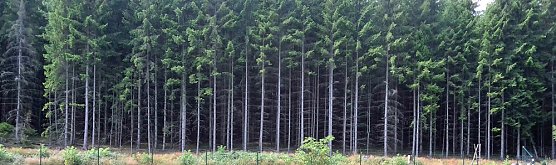 Gru&szlig; aus Sondershausen? (Foto: Karl-Heinz Herrmann)