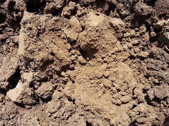 Herbstnebel und Trockenheit bleibt (Foto: privat)