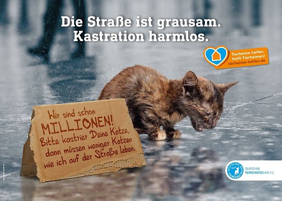 Mit dem Motiv und dem Slogan Die Stra&szlig;e ist grausam. Kastration harmlos. macht der Deutsche Tierschutzbund auf die Wichtigkeit der Kastration bei Katzen aufmerksam. (Foto: Deutscher Tierschutzbund e.V.)