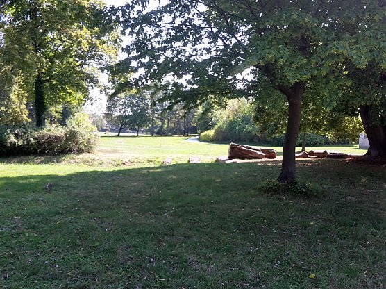 Wie mehr f&uuml;r, Insekten und Umwelt tun? (Foto: Karl-Heinz Herrmann)