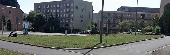 Wie mehr f&uuml;r, Insekten und Umwelt tun? (Foto: Karl-Heinz Herrmann)