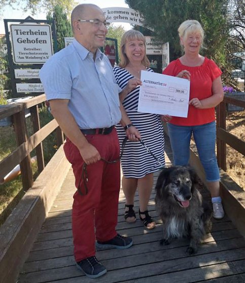 Hilfe f&uuml;r Katzen-Quarant&auml;ne-Station (Foto: Wahlkreisb&uuml;ro)