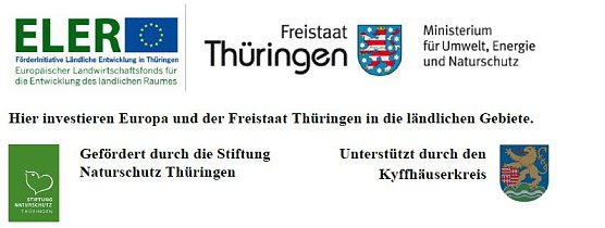 Wanderung informierte &uuml;ber die neuesten Entwicklungen (Foto: Robin Kendon / IPU)