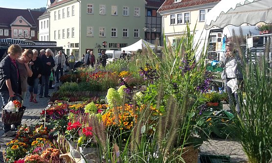 Pflanzen und Menschen in H&uuml;lle und F&uuml;lle (Foto: Karl-Heinz Herrmann)