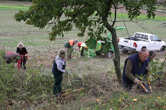 Aktionstag Landschaftspflege (Foto: Sabine Pusch)