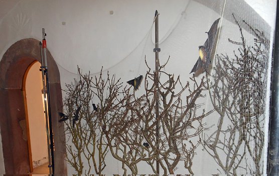 Fledermäuse Geheimnisvolle Jäger der Nacht (Foto: Regionalmuseum Bad Frankenhausen) Fledermäuse Geheimnisvolle Jäger der Nacht (Foto: Regionalmuseum Bad Frankenhausen)