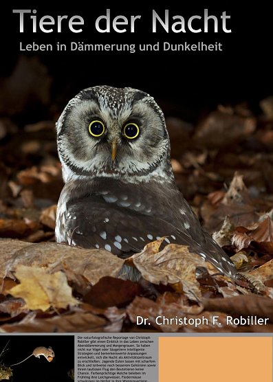 Tiere der Nacht... (Foto: Regionalmuseum Bad Frankenhausen)