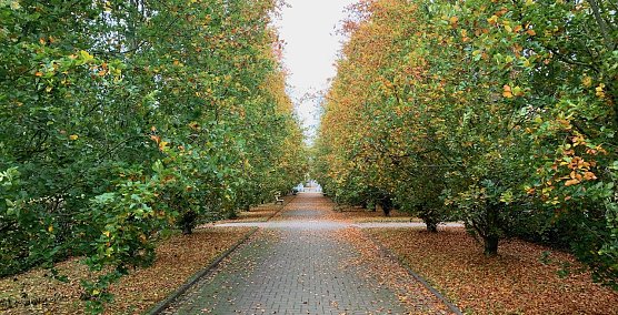 wetter (Foto: oas) wetter (Foto: oas)