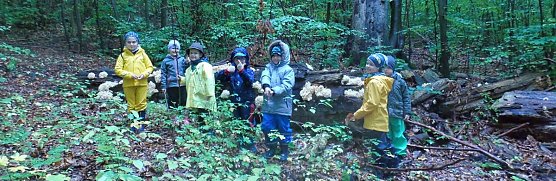 Aktuelles aus der Natura2000- Station Possen e.V. (Foto: Nicol Pfefferlein)