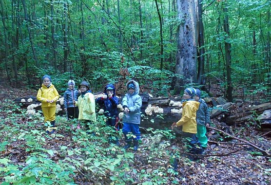Aktuelles aus der Natura2000- Station Possen e.V. (Foto: Nicol Pfefferlein)