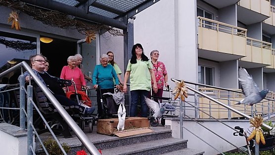 Tierischer Besuch in der Tagespflege (Foto: Yvonne Kraft)