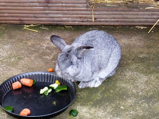 Der Possen- schön zu jeder Jahreszeit (Foto: Dorothea Kieper) Der Possen- schön zu jeder Jahreszeit (Foto: Dorothea Kieper)