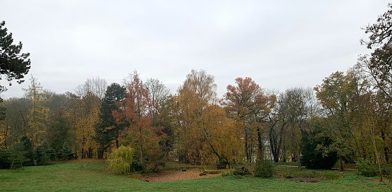 wetter (Foto: oas) wetter (Foto: oas)