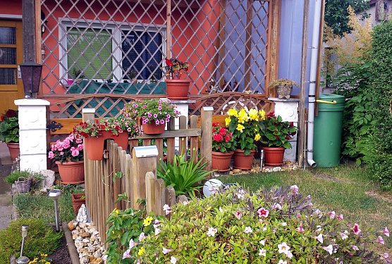 Das Gartenjahr 2019 geht zu Ende� (Foto: Norbert Rittweger)