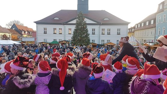 Aktuelle Weihnachtsmeldungen (Foto: privat)