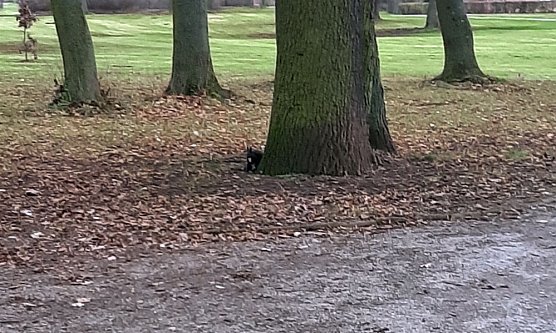 Kurzmeldungen aus Sondershausen (Foto: Karl-Heinz Herrmann)