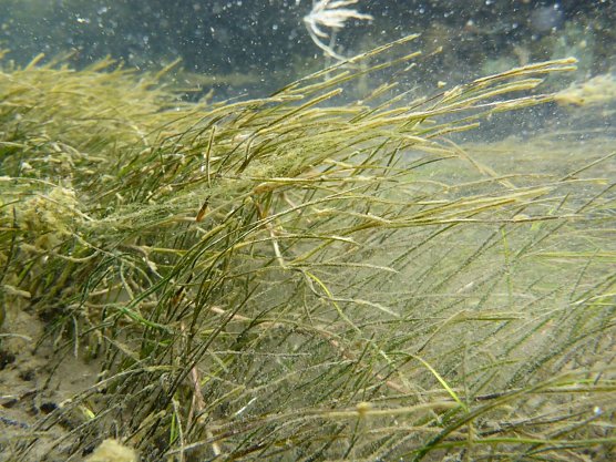 Bauma&szlig;nahmen am Solgraben in Artern sind gestartet (Foto: LPV)