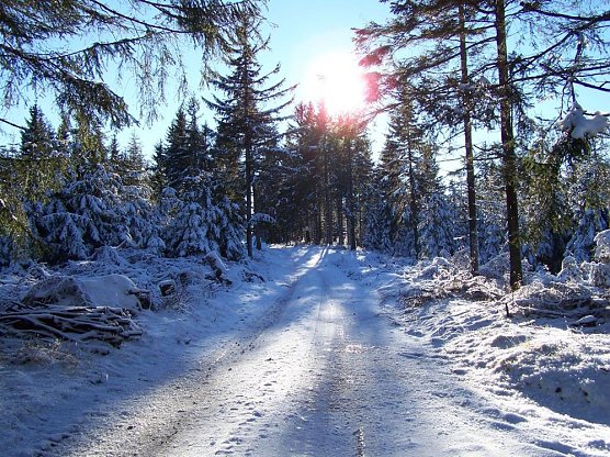Alle Jahre wieder: Rutsch- und Gl&auml;ttegefahr im Wald (Foto: Th&uuml;ringenForst)
