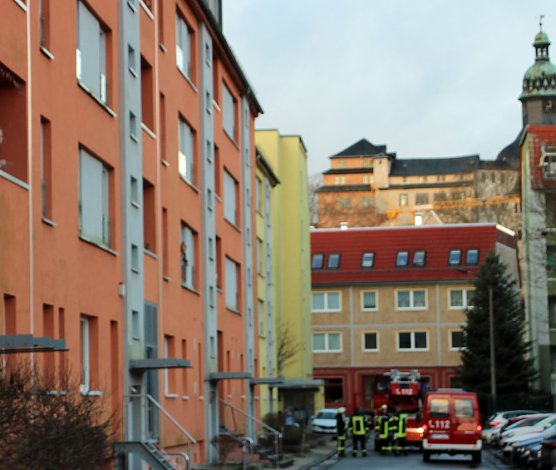 Pkw weicht Reh aus (Foto: Karl-Heinz Herrmann)