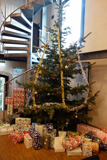 120 erfüllte Kinderwünsche => 240 strahlende Augen (Foto: Düne e.V.) 120 erfüllte Kinderwünsche => 240 strahlende Augen (Foto: Düne e.V.)