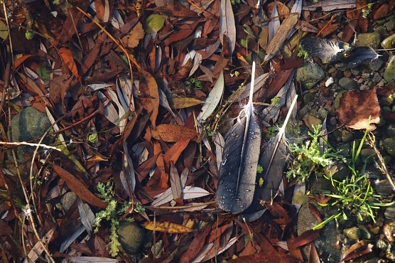 Wetterbild (Foto: Angelo Glashagel)