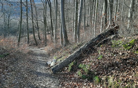 Betreten immer auf eigene Gefahr (Foto: Karl-Heinz Herrmann) Betreten immer auf eigene Gefahr (Foto: Karl-Heinz Herrmann)