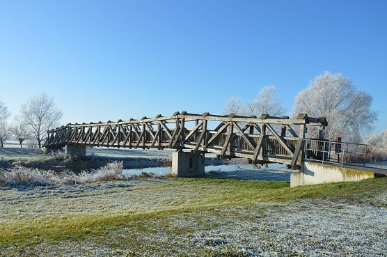 Nach einer kalten Nacht (Foto: Sebastian Hey)