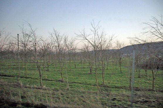 Noch keine touristische Erschlie&szlig;ung gestattet (Foto: Karl-Heinz Herrmann)