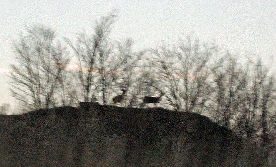 Noch keine touristische Erschlie&szlig;ung gestattet (Foto: Karl-Heinz Herrmann)