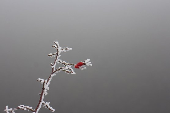 Wetterbild (Foto: Angelo Glashagel) Wetterbild (Foto: Angelo Glashagel)