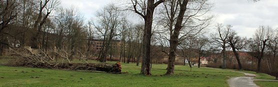 Sanierungskonzept f&uuml;r Schlosspark n&ouml;tig? (Foto: Karl-Heinz Herrmann)