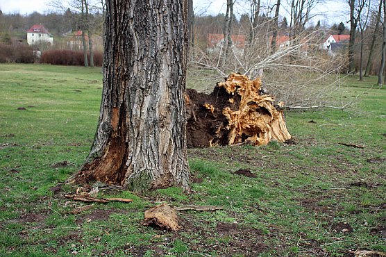 Sanierungskonzept f&uuml;r Schlosspark n&ouml;tig? (Foto: Karl-Heinz Herrmann)