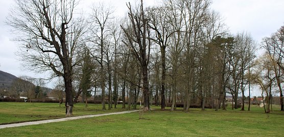 Sanierungskonzept f&uuml;r Schlosspark n&ouml;tig? (Foto: Karl-Heinz Herrmann)