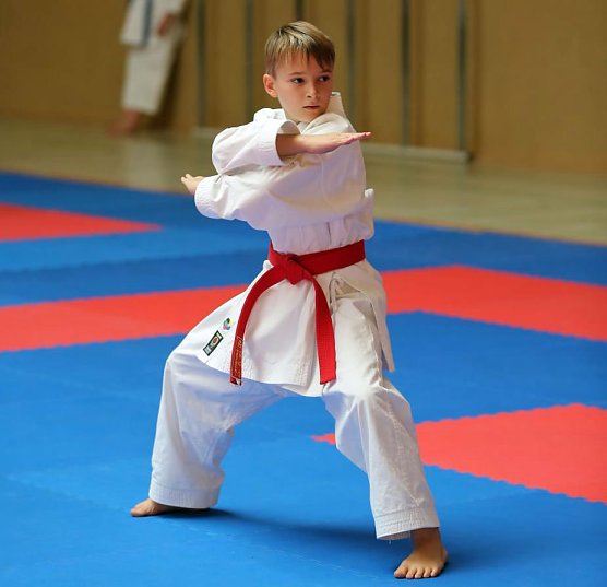 Sportlerwahl 2019 - Die Nachwuchssportler stellen sich vor (Foto: Kreissportbund) Sportlerwahl 2019 - Die Nachwuchssportler stellen sich vor (Foto: Kreissportbund)