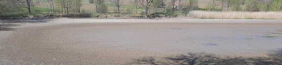 Schlechte Karten f&uuml;r die Kr&ouml;ten (Foto: Karl-Heinz Herrmann)