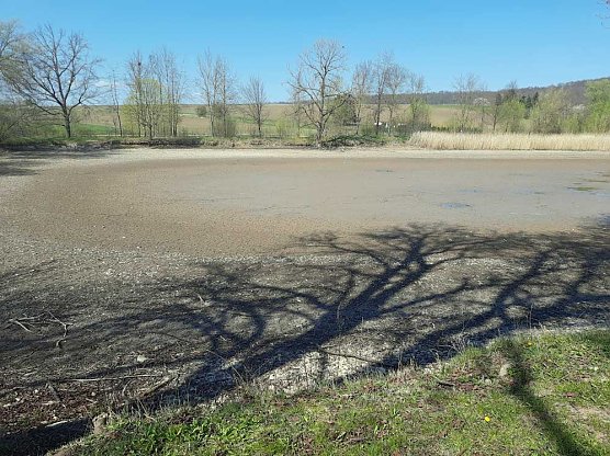 Schlechte Karten f&uuml;r die Kr&ouml;ten (Foto: Karl-Heinz Herrmann)