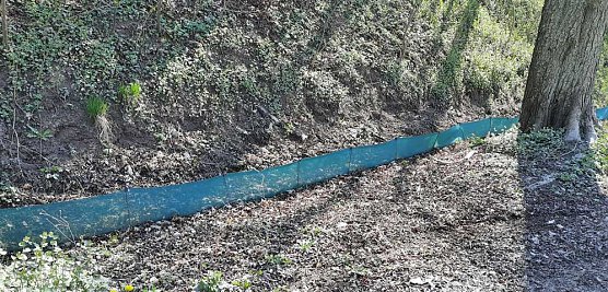 Schlechte Karten f&uuml;r die Kr&ouml;ten (Foto: Karl-Heinz Herrmann)